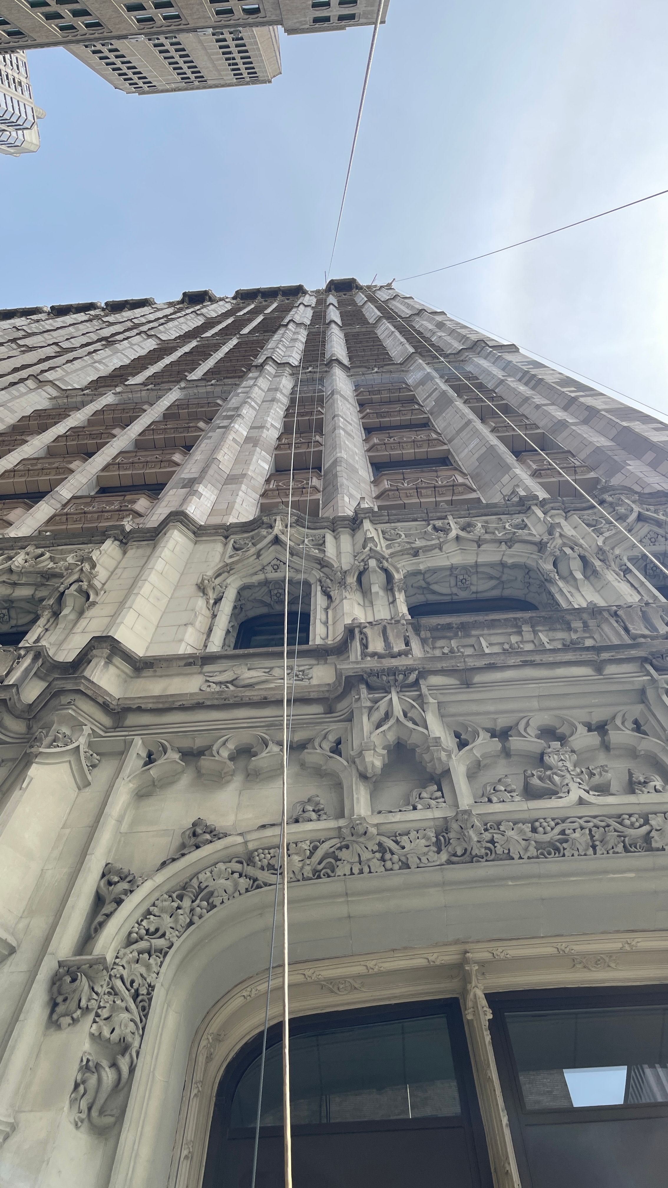 The Woolworth Building, figure 17