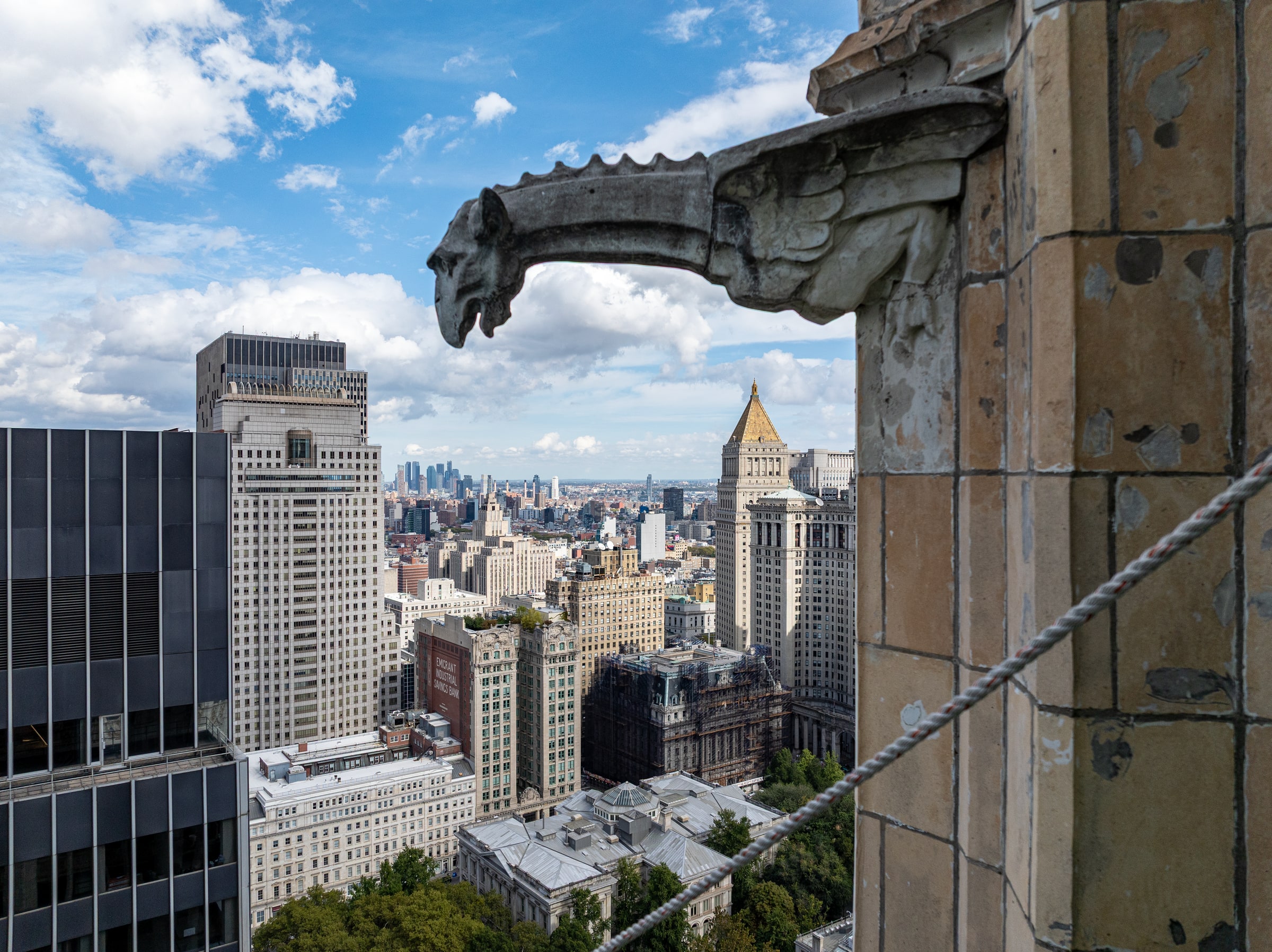 The Woolworth Building, figure 4