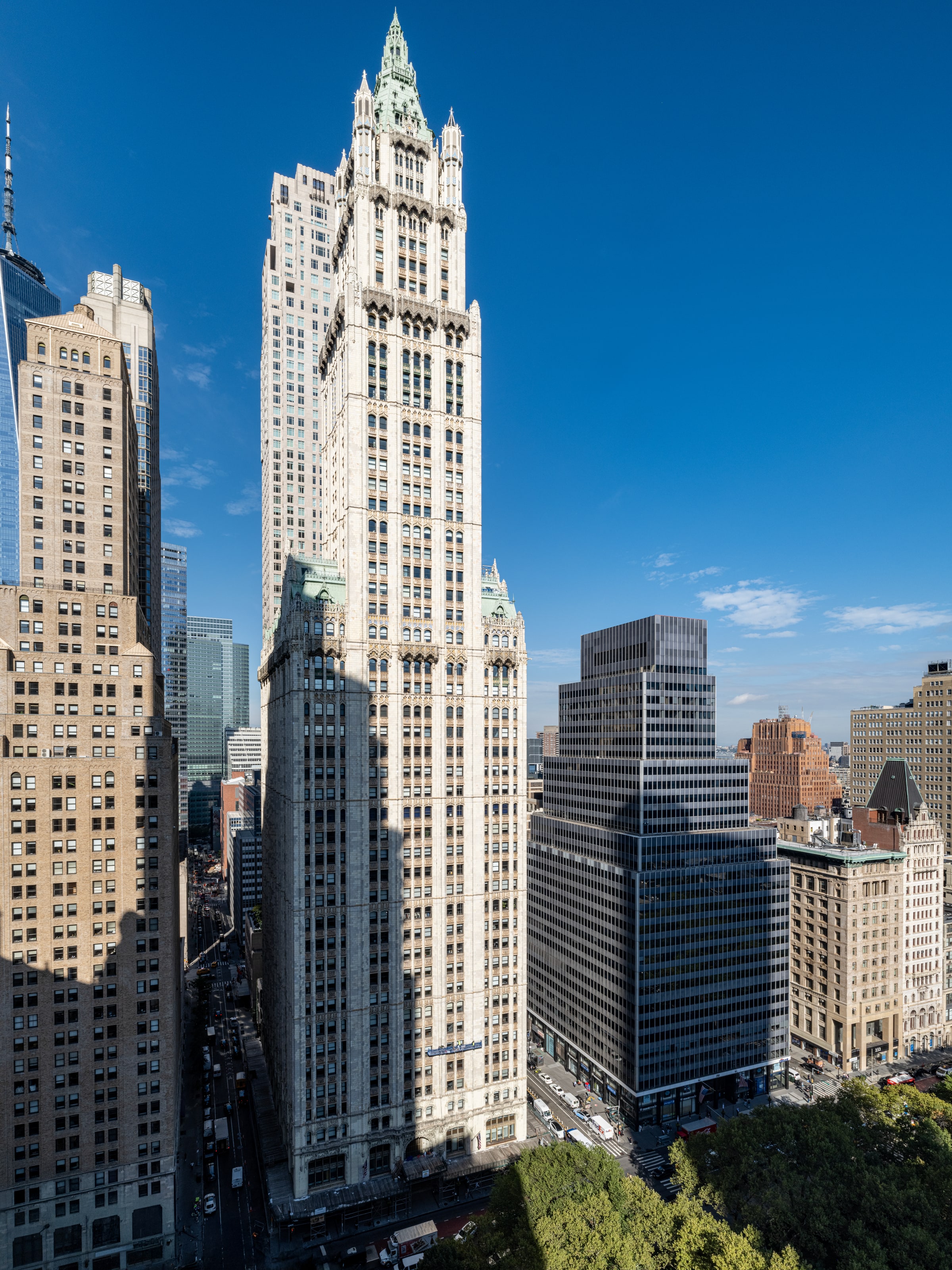 The Woolworth Building, figure 8